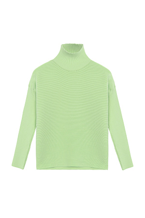 зеленый Трикотажный джемпер из вискозы в мелкий валик. Модель с длинным рукавом и воротником-стойкой.