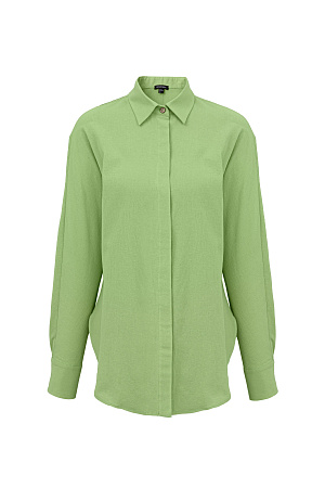 зеленый Классическая рубашка из 100% хлопка с потайной застежкой на пуговицы. Дополнить образ можно брюками.
