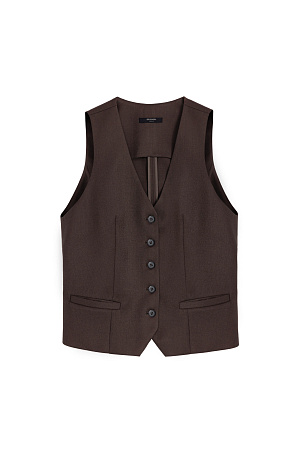 коричневый Классический жилет с имитацией карманов и v-образным вырезом. Застежка на пуговицы. Без подкладки.