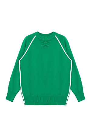 зеленый Спортивный джемпер из вискозы с лампасами хорошо подойдет для занятий спортом или же станет комфортным атрибутом в casual стиле.
