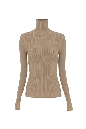 бежевый Трикотажная бесшовная водолазка из эластичной вискозы. Модель приталленого силуэта, с высоким воротником-стойкой и длинными рукавами. Изделие выполнено в рубчик.