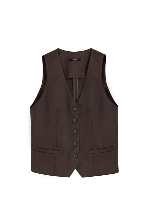 коричневый Классический жилет с имитацией карманов и v-образным вырезом. Застежка на пуговицы. Без подкладки.